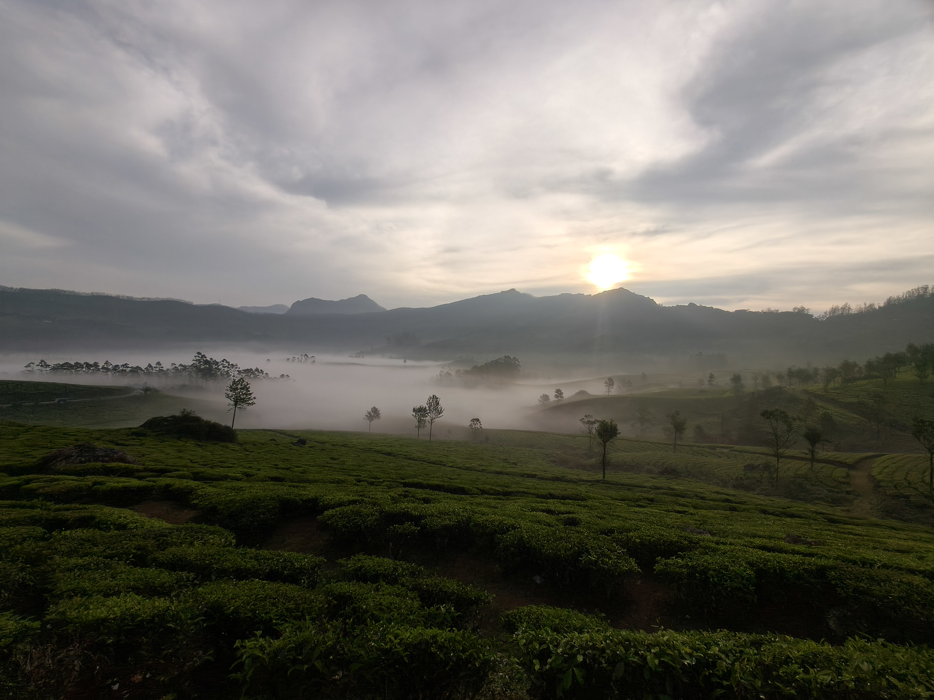 Kolukkumalai sunrise over fog-covered tea estates and rolling hills in Munnar